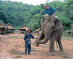 Elephants at Anantara